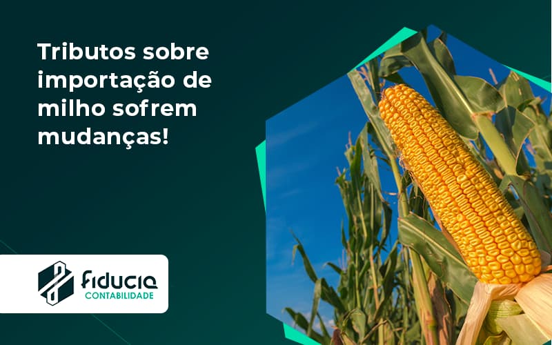 Tributos Sobre Importação De Milho Sofrem Mudanças! Fiducia - FIDUCIA Contabilidade | Assessoria e Consultoria no Rio de Janeiro